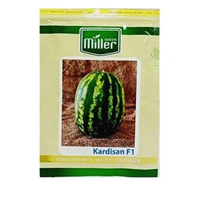 بذر هندوانه هیبرید کاردیسان مایلر سیدز