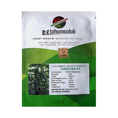 بذر خیار گلخانه ای هیبرید چیتا ای زد