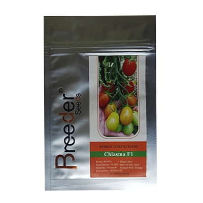 بذر گوجه فرنگی زیتونی گلخانه ای کیاسما بریدر سیدز