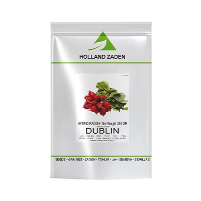 بذر تربچه هیبرید دابلین هلند زادن