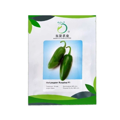 بذر فلفل هالوپینو هیبرید راسپینا دونگیا