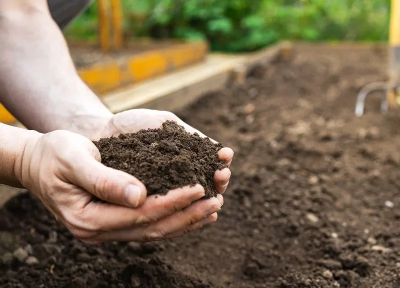چگونه خاک باغچه را برای کاشت آماده کنیم؟ 7 مرحله ساده