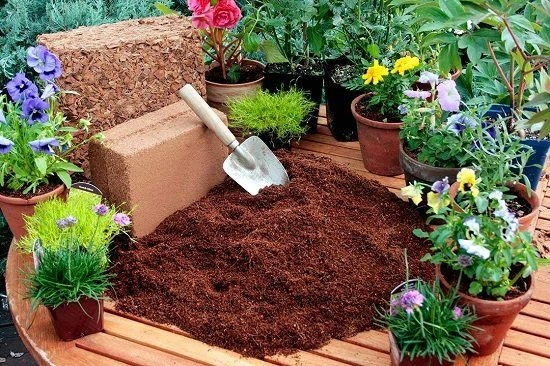 چگونه از کوکوپیت برای کاشت بذر و قلمه استفاده کنیم؟ ترفندهای کاربردی