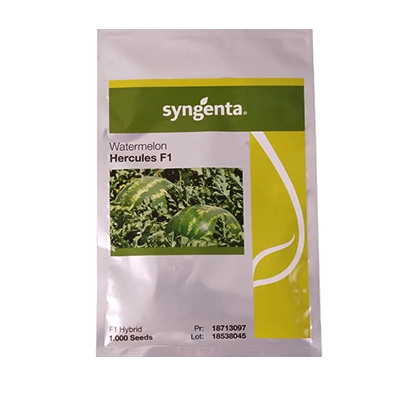 بذر هندوانه هیبرید هرکولس سینجنتا