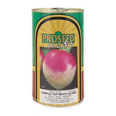 بذر شلغم Purple Top White Globe پروسید
