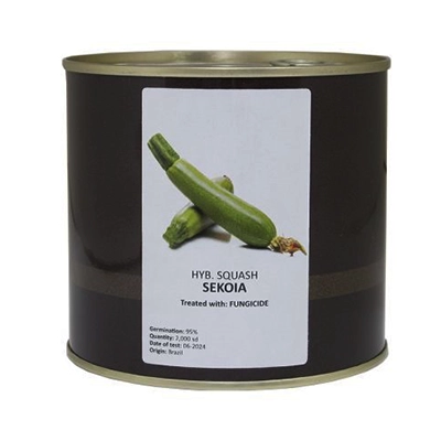 بذر کدو سبز هیبرید سکویا کانیون