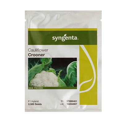 بذر گل کلم هیبرید کرونر سینجنتا