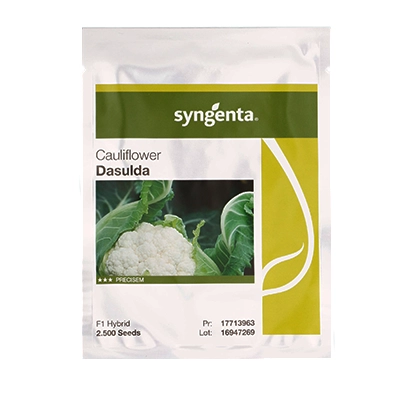 بذر گل کلم هیبرید داسولدا سینجنتا