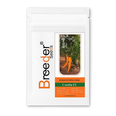 بذر فلفل کاپی زرد هیبرید کرولا بریدر سیدز