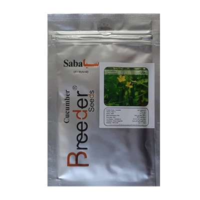 بذر خیار گلخانه ای هیبرید سبا بریدر سیدز