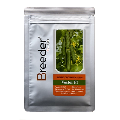 بذر خیار گلخانه ای هیبرید وکتور بریدر سیدز
