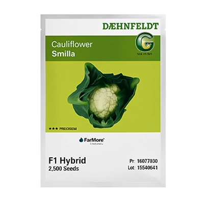 بذر گل کلم هیبرید اسمیلا دنفلد