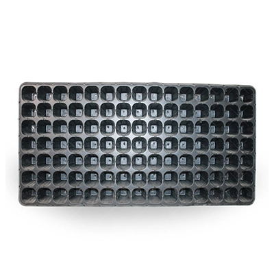 سینی کشت 105 حفره