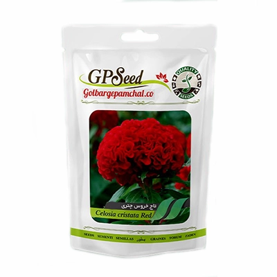 بذر گل تاج خروس چتری تک رنگ