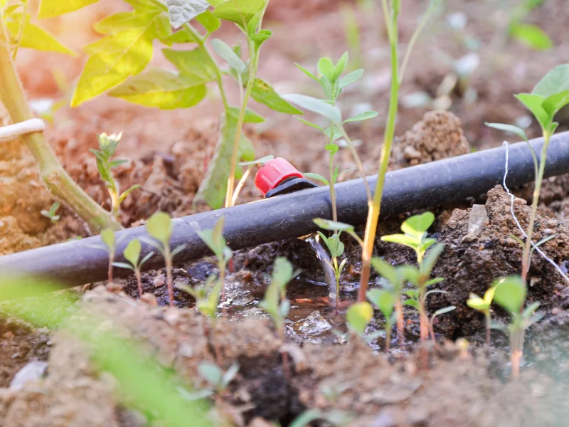 آبیاری قطره‌ای ارزان با شیر لباس‌شویی با نصب ساده در باغچه خانگی