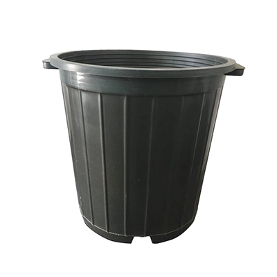 گلدان مشکی سطل 10