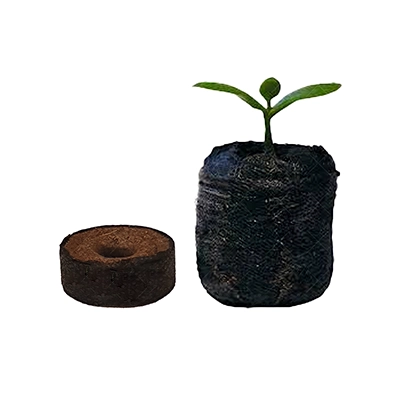 قرص جی فی پلت  24 میل