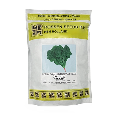 بذر اسفناج هیبرید کاور روزن سیدز