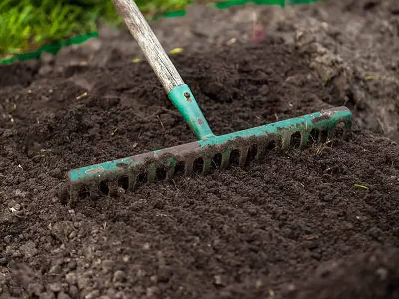 چگونه خاک را برای کاشت بذر چمن در پاییز آماده کنیم؟