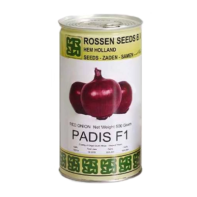 بذر پیاز قرمز هیبرید روز کوتاه پادیس روزن سیدز