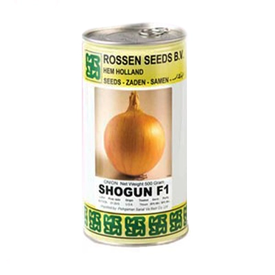 بذر پیاز سفید هیبرید روز کوتاه شوگان روزن سیدز