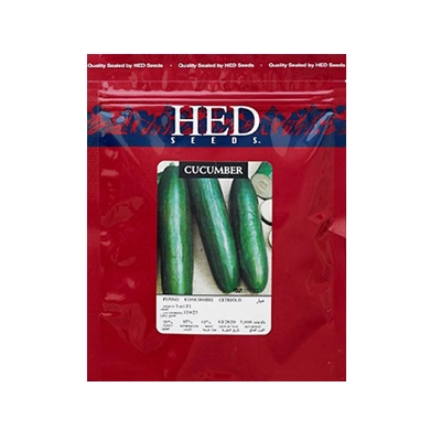 بذر خیار هیبرید یاری هد