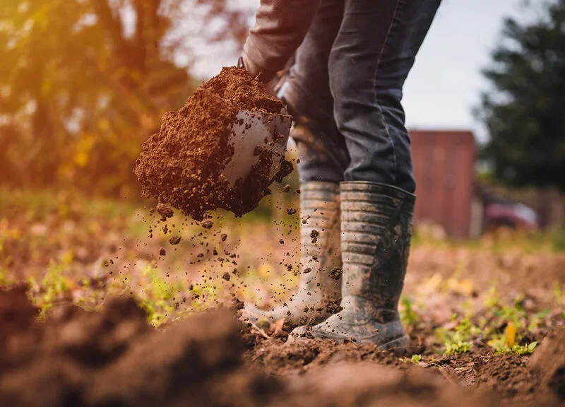 روش‌های ایمن برای ضدعفونی خاک در پاییز