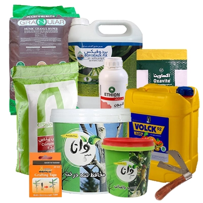 پک ضروری فصل زمستان