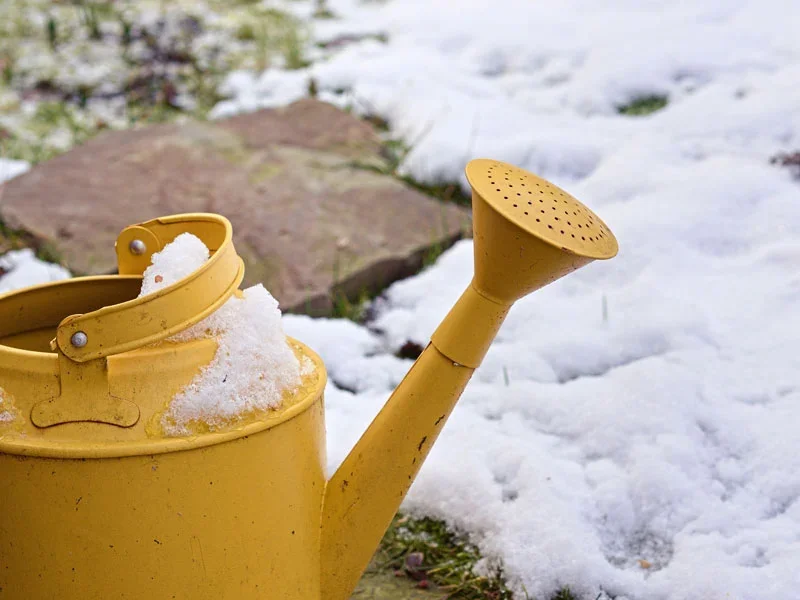 یخ آب و شخم زمستانه