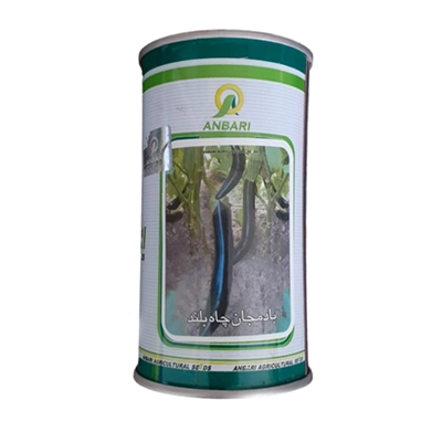 بذر بادمجان قلمی  چاه بلند عنبری