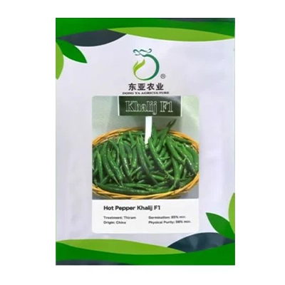 بذر فلفل قلمی تند هیبرید خلیج دونگیا