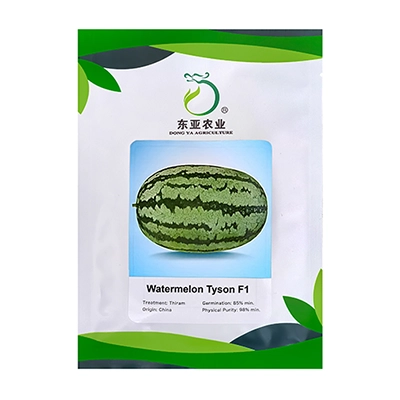 بذر هندوانه هیبرید تایسون دونگیا