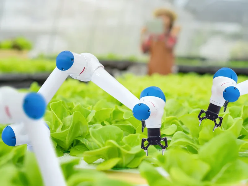 کشاورزی هوشمند چیست و چه زمانی در ایران فراگیر می‌ ‌شود؟