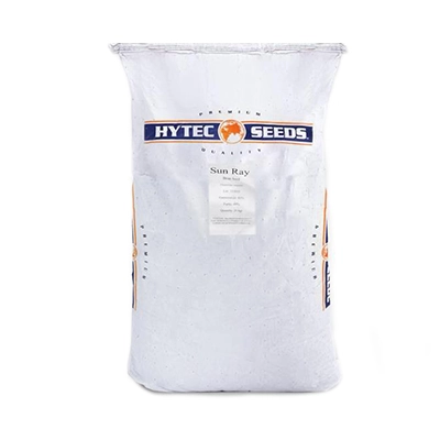 بذر لوبیا سبز استاندارد سانری هایتک آمریکا