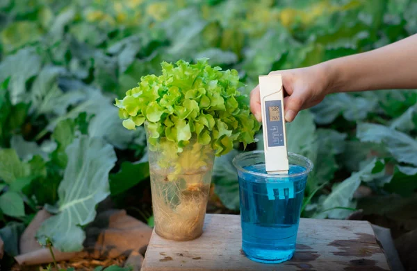 pH آب آبیاری چگونه جذب کود را کم یا زیاد می‌کند؟