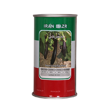 بذر بادمجان قلمی ایران بذر
