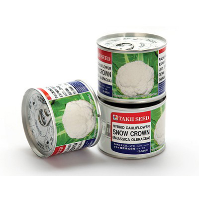 بذر گل کلم هیبرید اسنو کرون تاکی