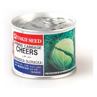 بذر کلم پیچ هیبرید چرس تاکی