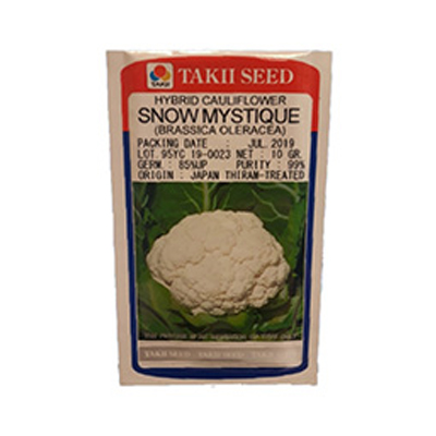 بذر گل کلم هیبرید اسنو مایستیک تاکی