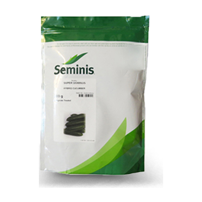 بذر خیار هیبرید سوپر دومینوس سمینیس