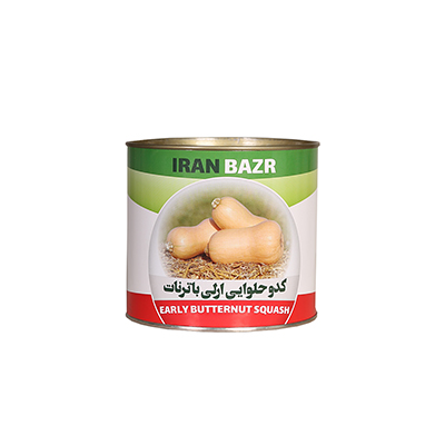 بذر کدو حلوایی استاندارد ارلی باترنات ایران بذر
