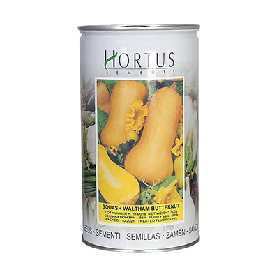 بذر کدو حلوایی استاندارد باترنات هورتوس