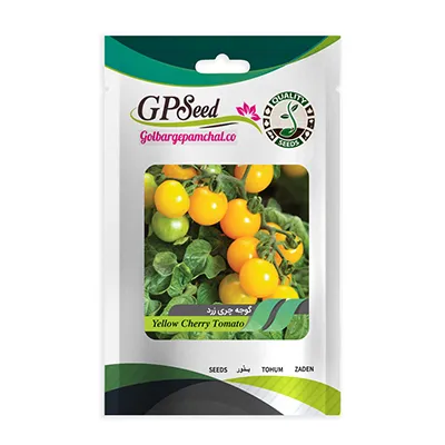 بذر گوجه چری زرد