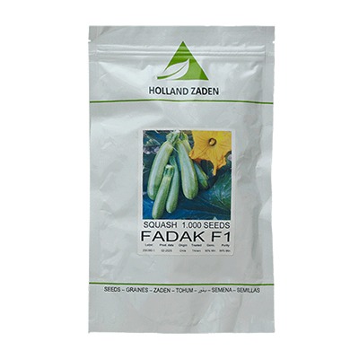 بذر کدو سبز هیبرید فدک گرین دایموند
