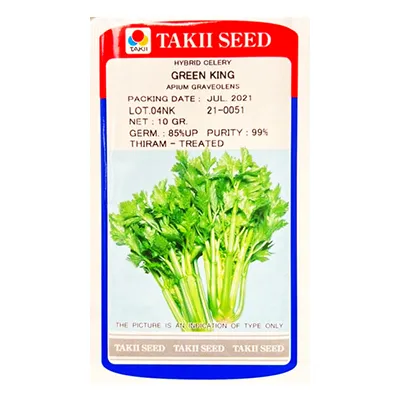 بذر کرفس هیبرید گرین کینگ تاکی ژاپن