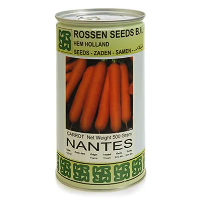 بذر هویج استاندارد نانتس روزن سیدز