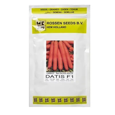 بذر هویج هیبرید داتیس روزن سیدز