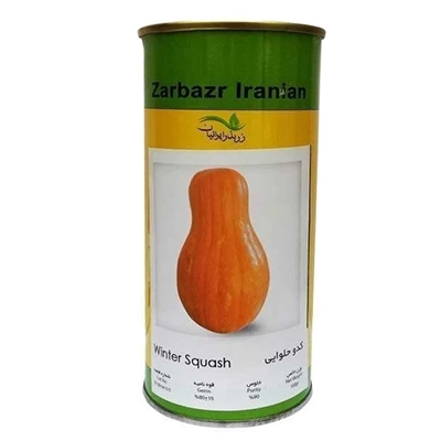 بذر کدو حلوایی استاندارد زربذر ایرانیان