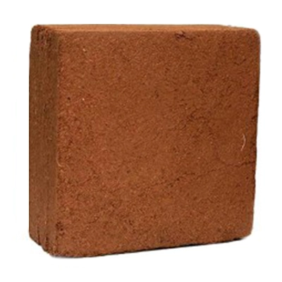 پی سی پیت رویان (pc)