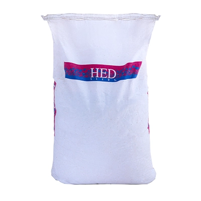 بذر لوبیا سبز استاندارد سان ری هد